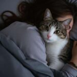 Nel letto col gatto