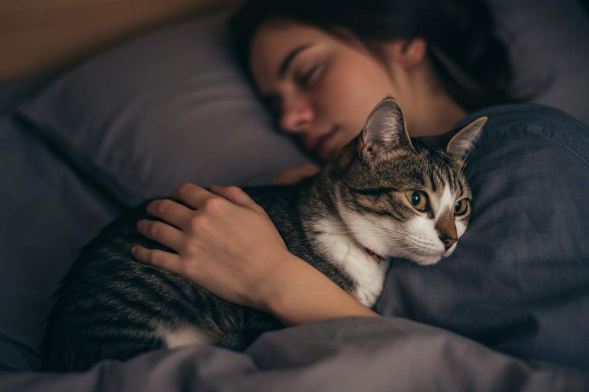 Gatto dorme con noi